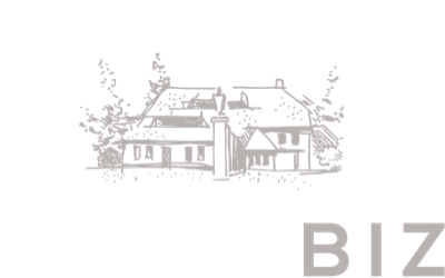 Logo transparant Dutch Biz